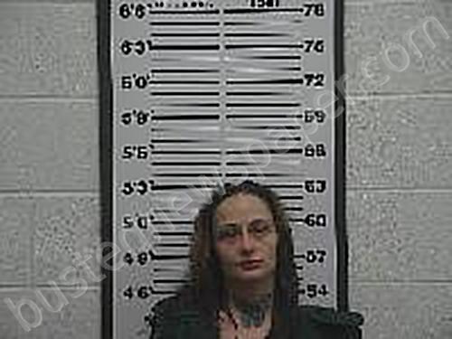 GREEN, SHELBY BRIANNA #, Belmont County, Ohio - 2025-11-14