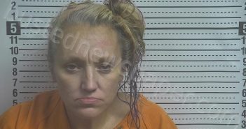 BAIER, KEESHA LYNN | 2025-11-14 20:49:00 Boyle County, Kentucky Booking