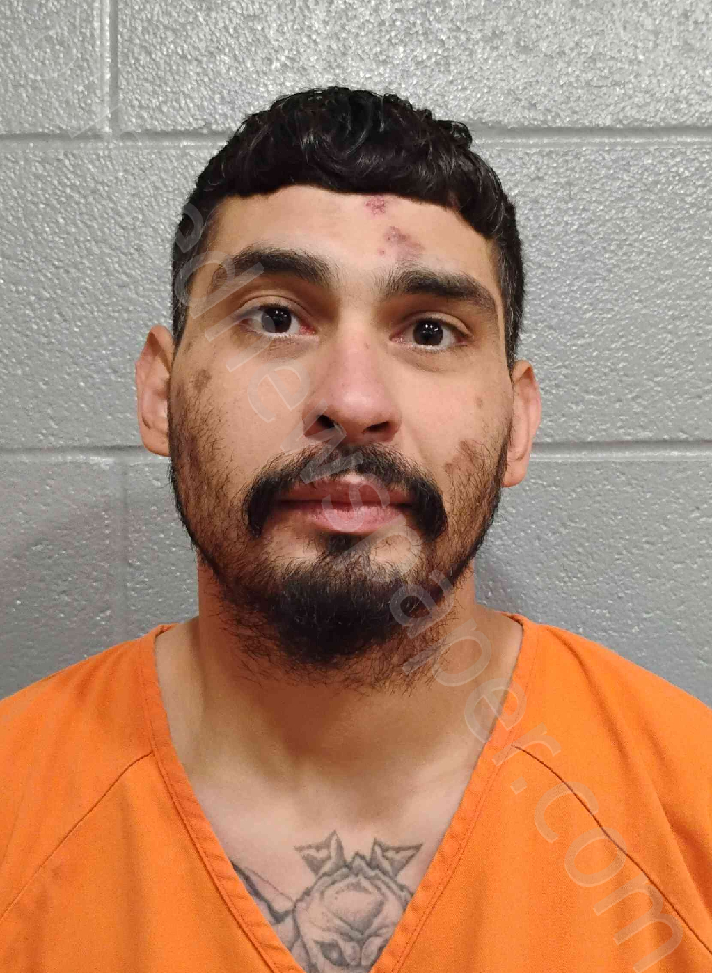 MOLINA, JOSE #, Barren County, Kentucky - 2025-11-14