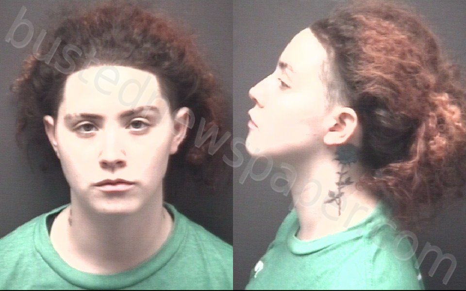 VEGA, CHEYANN MARIE #, Pitt County, North Carolina - 2025-11-15