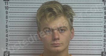 BROWN, CHRISTIAN BLAISE | 2025-11-15 16:15:00 Boyle County, Kentucky Booking