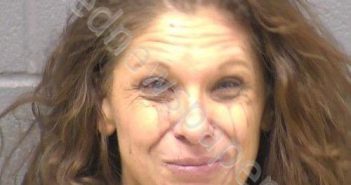 ROSSI, MICHELE R | 2025-11-16 21:36:00 Will County, Illinois Booking