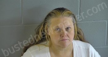 GARCIA, JOE ANN | 2025-11-16 13:05:00 Levy County, Florida Booking