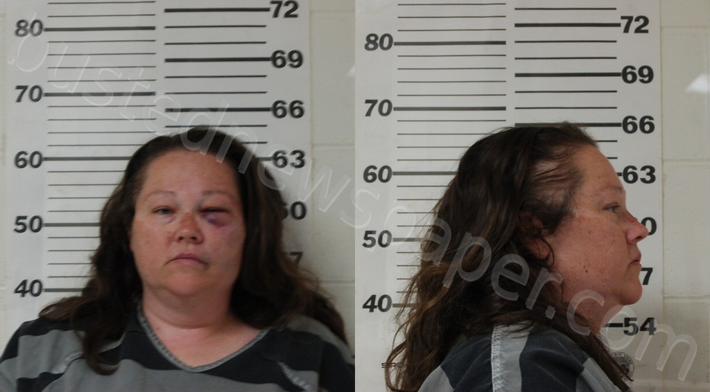 BAKER, ALISHIA #, Henderson County, Texas - 2025-11-17