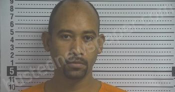 TORRES ROBAINA, DISNEY | 2025-11-17 14:45:00 Boyle County, Kentucky Booking