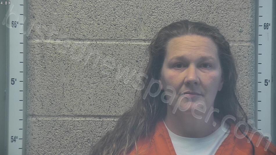 PRUITT, ANGEL MARIE #, Henderson County, Kentucky - 2025-11-17 21:28:00