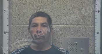 <B>DELGADO</B>–<B>OLVERA</B>, <B>ROSALINO</B> <B>NMN</B> #, Henderson County, Kentucky - 2025-11-17 23:58:00