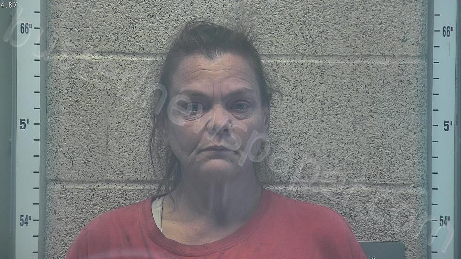 CORDELL, CARRIE F #, Henderson County, Kentucky - 2025-11-17 14:10:00