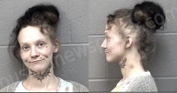 STEVENSON, LORI CHRISTINE | 2025-11-18 21:49:00 Crawford County, Kansas Booking