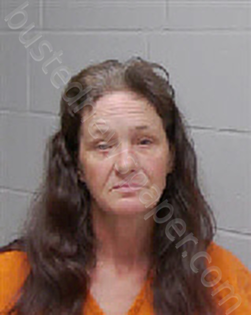 PUGH, JENNIFER LYNN #, Coosa County, Alabama - 2025-11-19 01:35:00