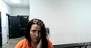 WILKINSON, JESSICA RYAN | 2025-11-19 14:20:00 Fulton County, Arkansas Booking