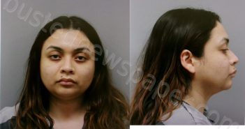 GARCIA-ANGEL, WENDY LESLY | 2025-11-20 Wise County, Texas Booking