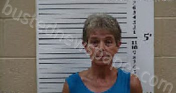 HICKS, LISA DOREEN | 2025-11-20 12:14:00 Cherokee County, North Carolina Booking