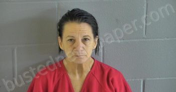 DOWELL, MICHELLE ANGELIC | 2025-11-20 07:46:00 Levy County, Florida Booking