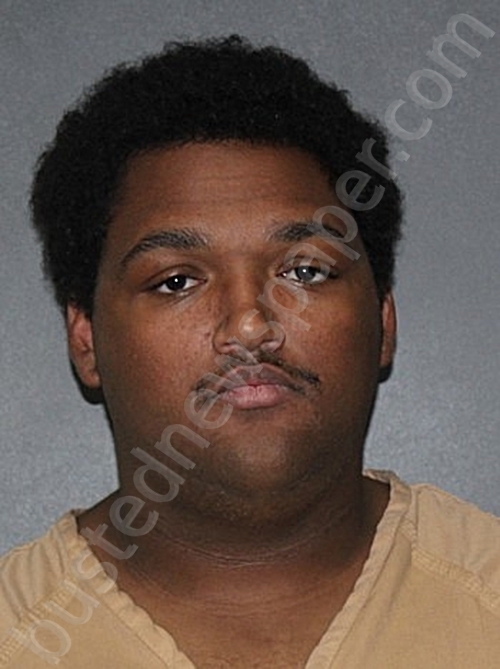 IVIN, TROY MICHAEL #, Elkhart County, Indiana - 2025-11-20