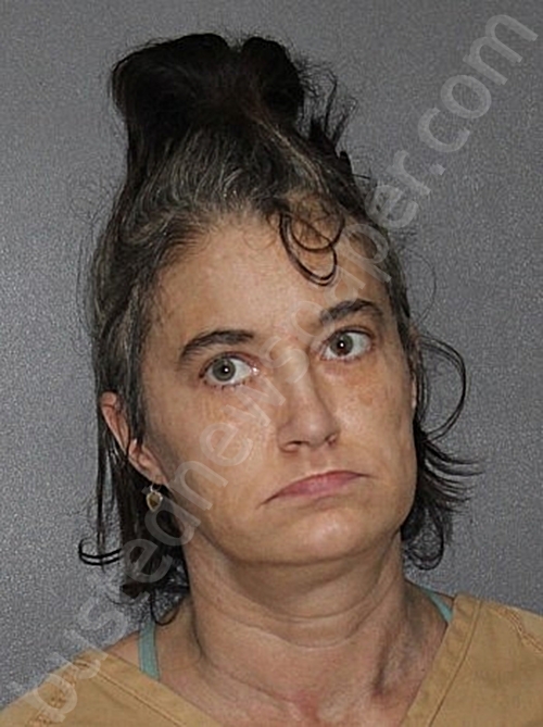 DEHOFF, JAMIE LEIGH #, Elkhart County, Indiana - 2025-11-20