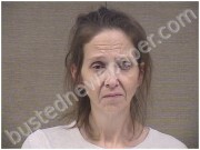 MCLEOD, MELISSA | 2025-11-20 Harnett County, North Carolina Booking