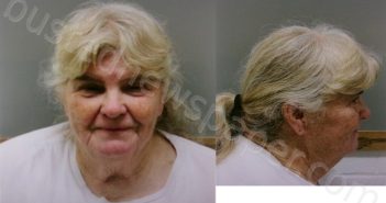 MCELROY, VICTORIA RACKLEY | 2025-11-20 Wise County, Texas Booking