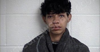 HERNANDEZ DOMINGUEZ, LUISANYELYS NATALIED | 2025-11-20 Chase County, Kansas Booking