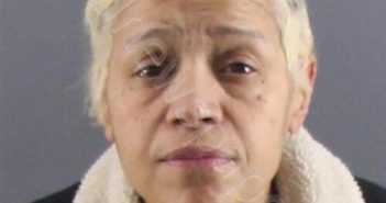 MOORE, SHARI RENE | 2025-11-20 Peoria County, Illinois Booking