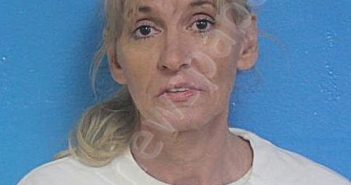 LEWIS, TONYA YVETTE | 2025-11-21 23:55:06 Sullivan County, Tennessee Booking