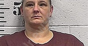 TWILLEY, AMANDA NICOLE | 2025-11-21 14:00:00 Sharp County, Arkansas Booking