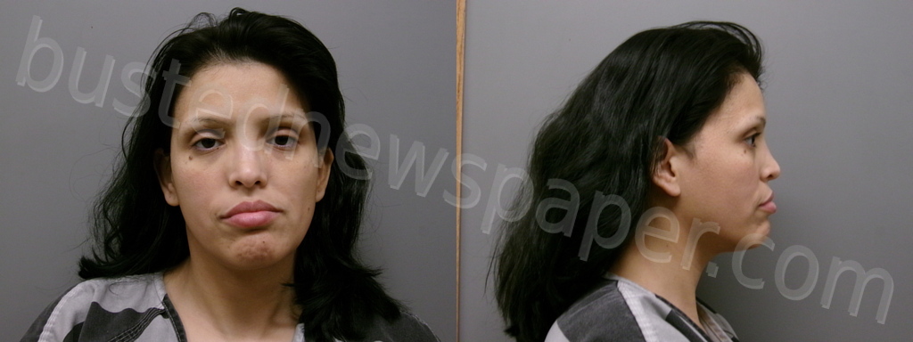 HERNANDEZ-AGUILAR, YUVIKO YUVELY #, Wise County, Texas - 2025-11-22