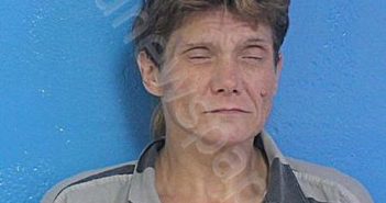 <B>MCCLANAHAN</B>, <B>STEPHANIE</B> <B>CAROL</B> #, Sullivan County, Tennessee - 2025-11-22 11:45:00