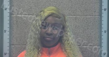 SIBLEY, ALISE LA’SHAY | 2025-11-22 14:10:00 Henderson County, Kentucky Booking