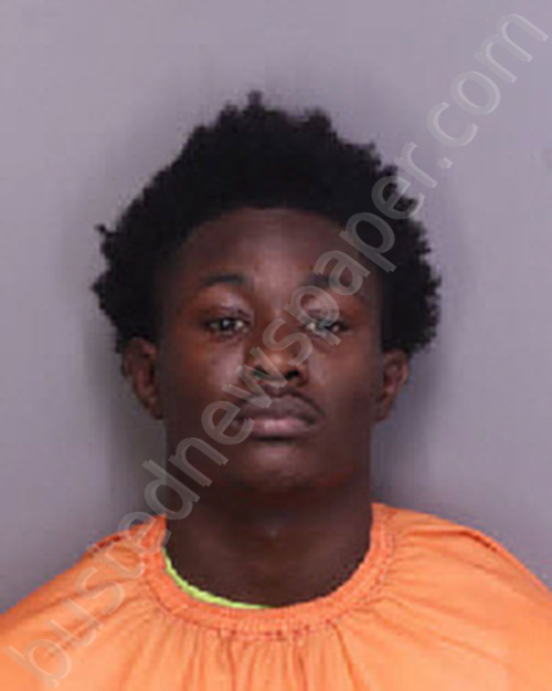 LINEN, NIQUAN DEMONTE #, Florence County, South Carolina - 2025-11-23 18:03:00
