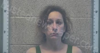 MCGAHEE, CHELSEA R | 2025-11-23 00:53:00 Henderson County, Kentucky Booking