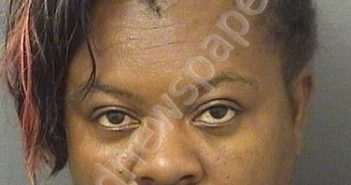 NOEL, NOELINE | 2025-11-23 23:31:00 Palm Beach County, Florida Booking