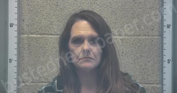 TODD, CHASIDY LYNN | 2025-11-24 17:59:00 Henderson County, Kentucky Booking