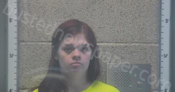 PARKS, ALISHA | 2025-11-24 00:06:00 Henderson County, Kentucky Booking