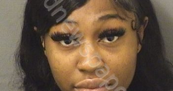 PAUL, JESSICA WILDA | 2025-11-24 03:28:00 Palm Beach County, Florida Booking