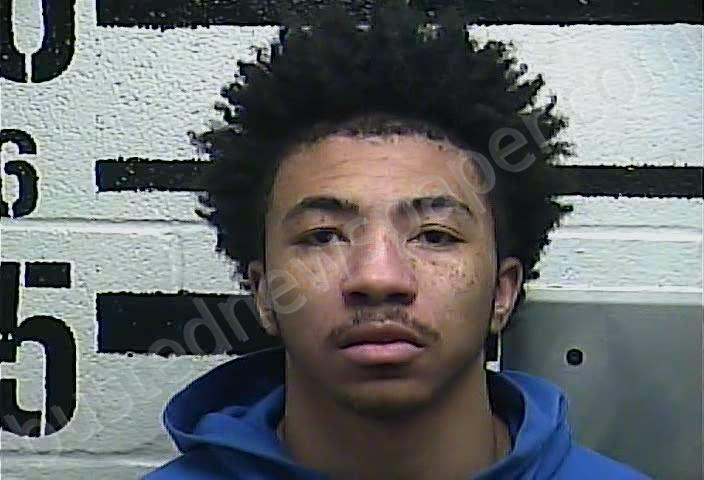 JOHNSON, LAMAR D #, Larue County, Kentucky - 2025-11-24 12:20:00