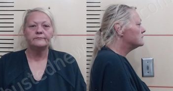 DARNELL, MISTY DEANNA | 2025-11-24 Parker County, Texas Booking