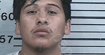 MERINO CORTEZ, JOSE MAURICIO | 2025-11-24 03:52:05 Hood County, Texas Booking