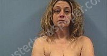 HICKS, CRYSTAL LYNN | 2025-11-25 Erie County, Ohio Booking