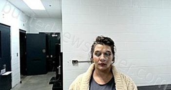 NIERMANN, MARY LAURAN | 2025-11-25 09:56:00 Fulton County, Arkansas Booking