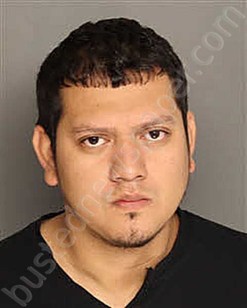 ALVARADO OVANDO, CESAR AUGUSTO #, Berkeley County, South Carolina - 2025-11-25 23:02:00