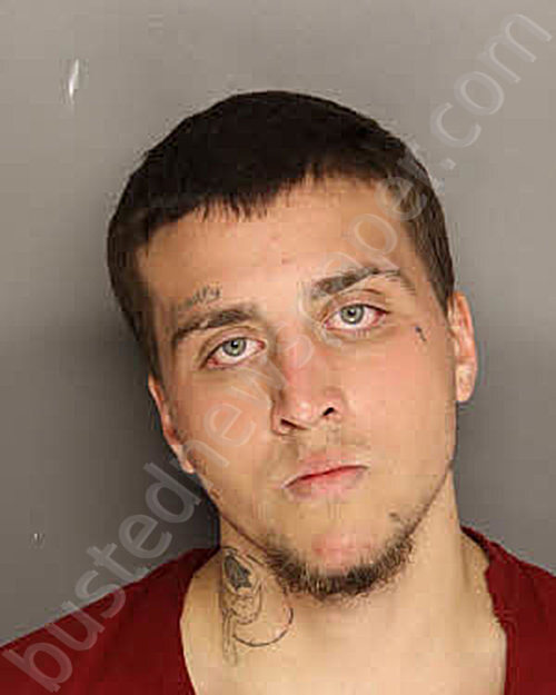 PHILLIPS, HARRY EUGENE #, Berkeley County, South Carolina - 2025-11-26 02:03:00