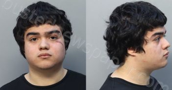 MORALES, ANTHONY | 2025-11-26 16:29:00 Miami-Dade County, Florida Booking