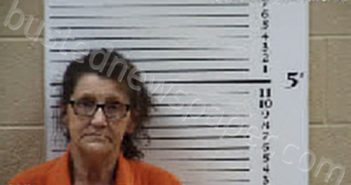 PHILLIPS, RHONDA ANN | 2025-11-26 11:53:00 Cherokee County, North Carolina Booking