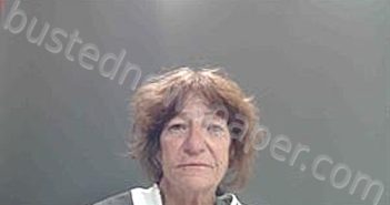 CONNER, SHIRLEY DOWD | 2025-11-26 02:17:00 Cameron Parish, Louisiana Booking