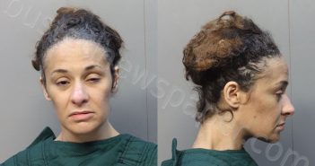 RODRIGUEZ, ALEXANDRA | 2025-11-26 13:19:00 Miami-Dade County, Florida Booking
