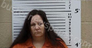 ALLEN, MICHELE LEE | 2025-11-26 11:35:00 Cherokee County, North Carolina Booking