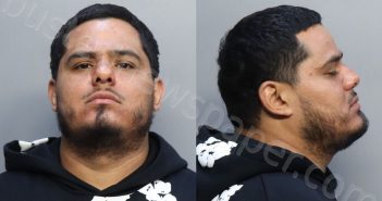 CASTRO, GLEN ALEXANDER | 2025-11-26 13:26:00 Miami-Dade County, Florida Booking