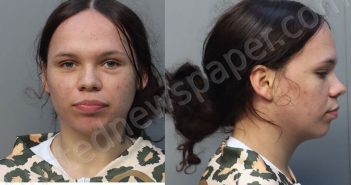 CASTILLO, MADELYN MARIELEE | 2025-11-26 15:06:00 Miami-Dade County, Florida Booking