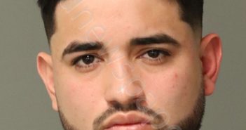 PINEDA-MAYES, RICARDO ALEXAND | 2025-11-27 20:04:00 Wake County, North Carolina Booking